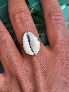 Kenyan Large Cowry Shell Ring