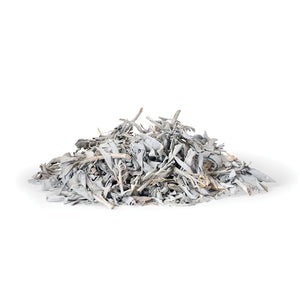 White Ceremonial Sage (Pre-Order)